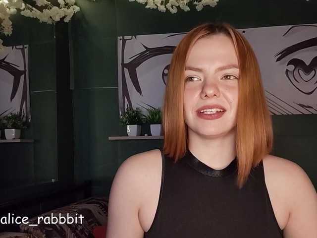 AliceRabbit