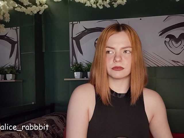 AliceRabbit live cam preview