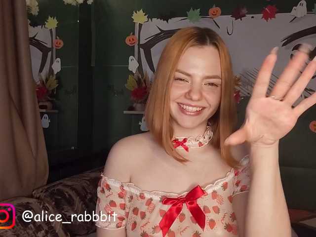 AliceRabbit