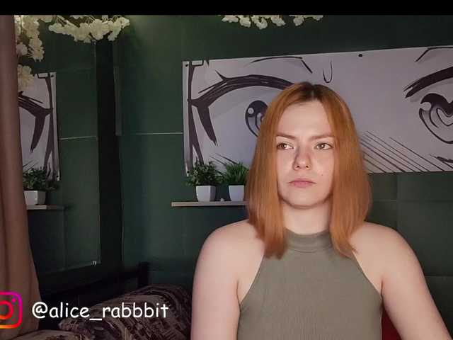 AliceRabbit