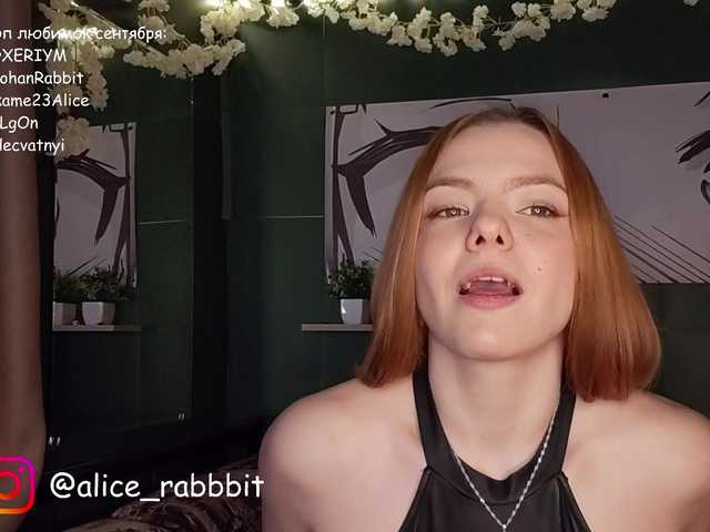 AliceRabbit