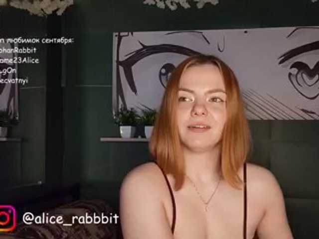 AliceRabbit