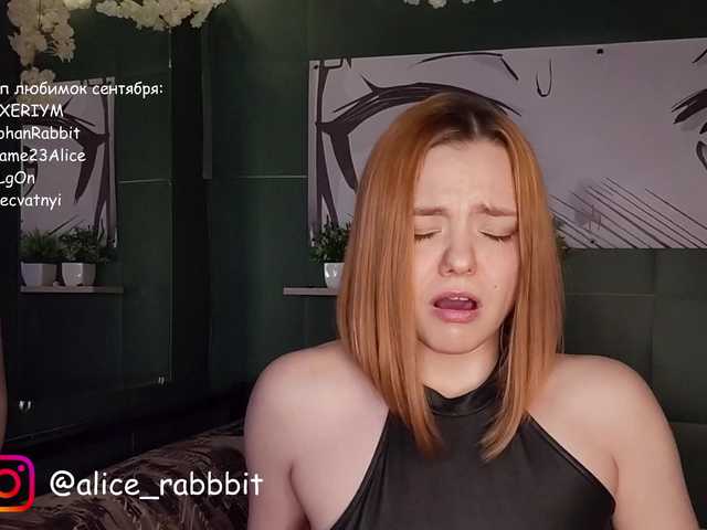 AliceRabbit