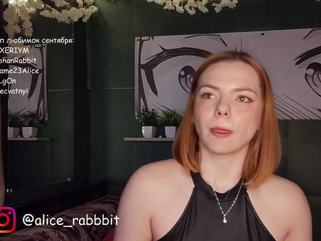 AliceRabbit