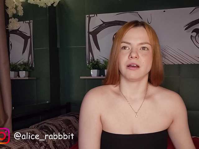 AliceRabbit