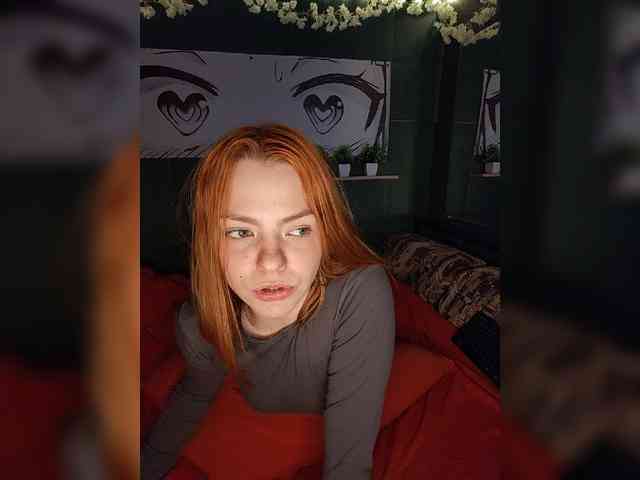 AliceRabbit webcam
