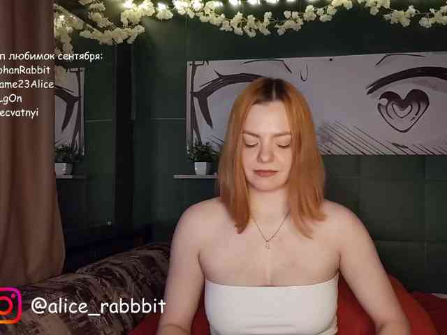 AliceRabbit AliceRabbit