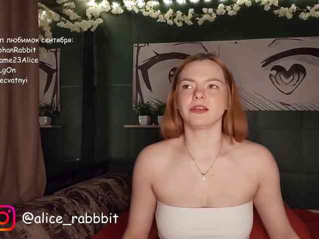 AliceRabbit webcam