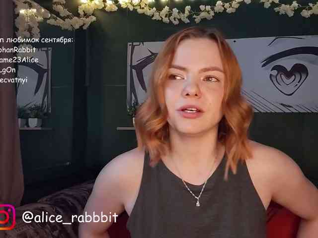 AliceRabbit webcam