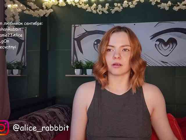 AliceRabbit