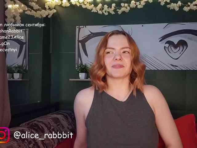 AliceRabbit webcam