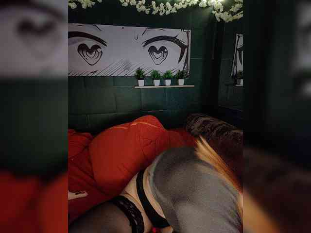 AliceRabbit webcam