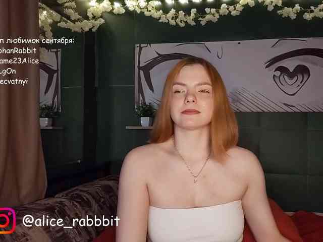AliceRabbit webcam