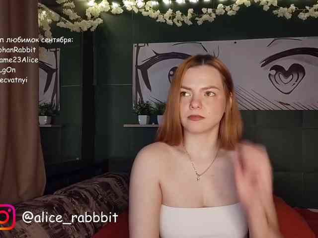 AliceRabbit webcam