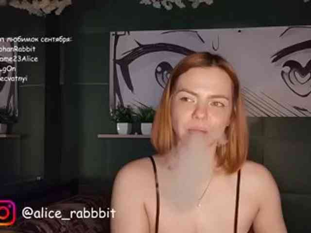 AliceRabbit webcam
