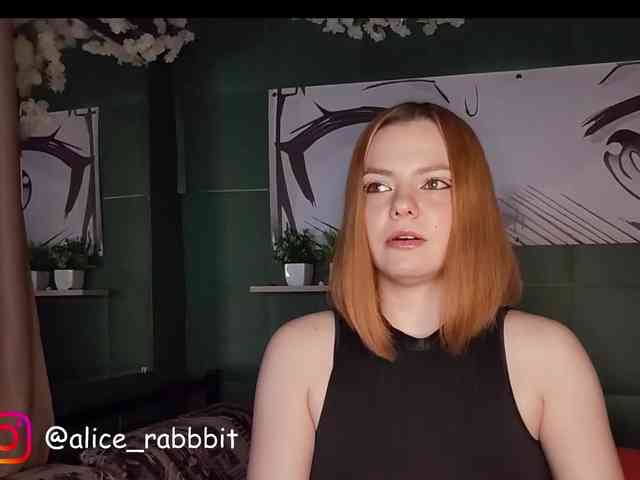 AliceRabbit webcam