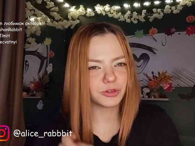 Модель: AliceRabbit