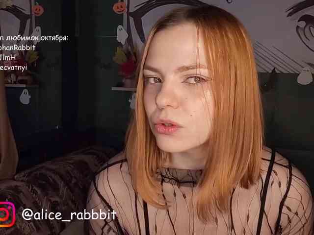AliceRabbit