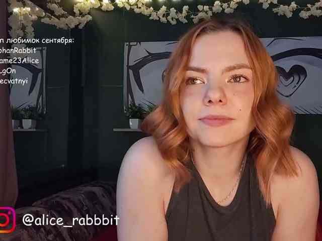 AliceRabbit AliceRabbit