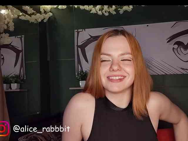 AliceRabbit webcam