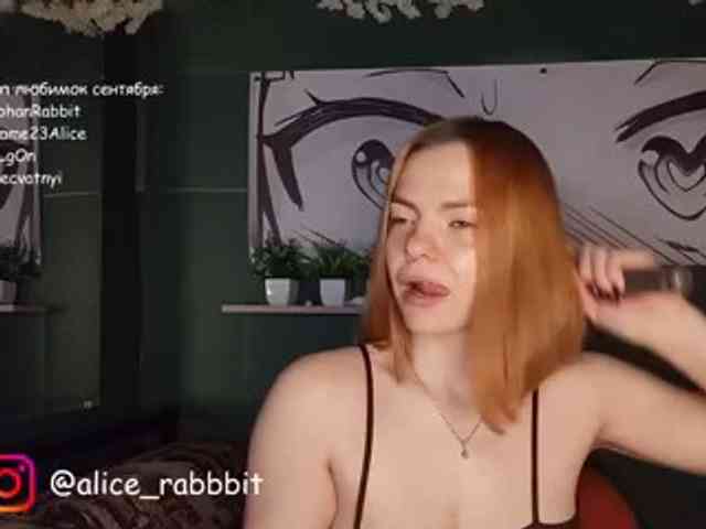 AliceRabbit webcam