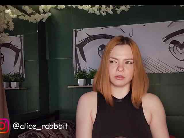 AliceRabbit webcam