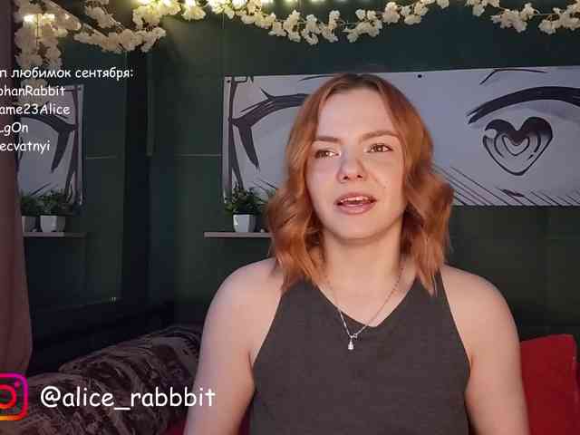 AliceRabbit webcam