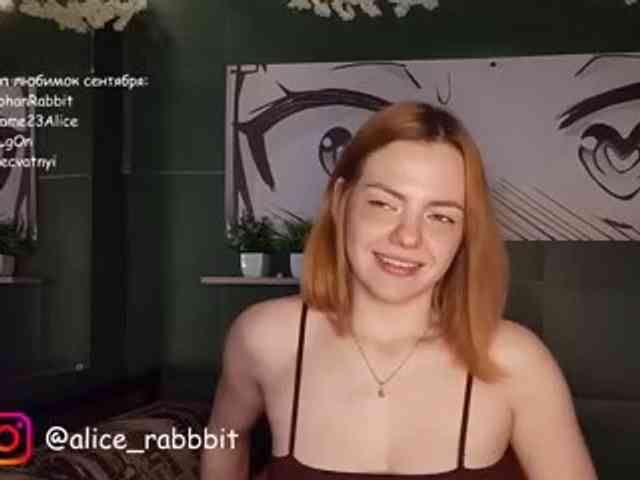 AliceRabbit