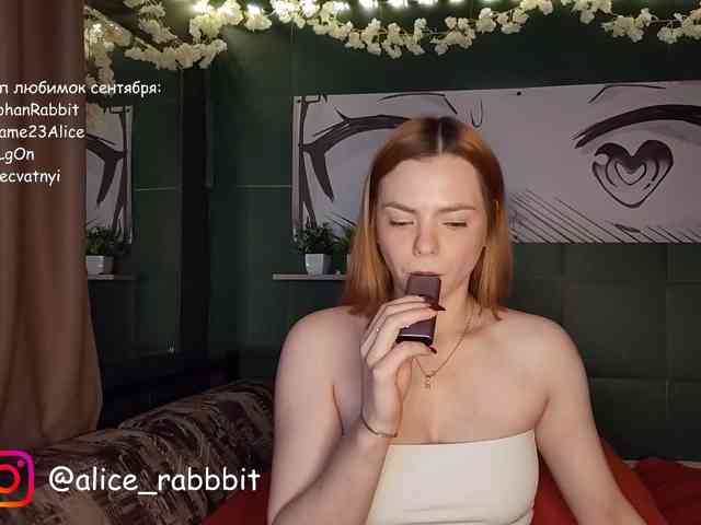 AliceRabbit webcam