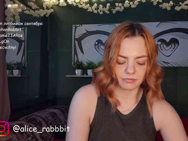AliceRabbit webcam