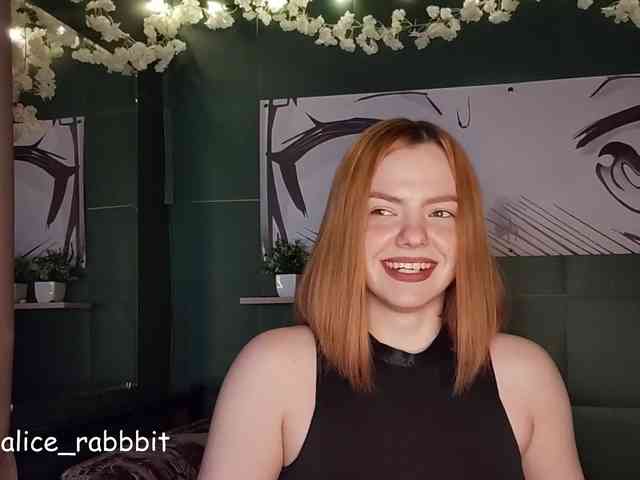 AliceRabbit webcam