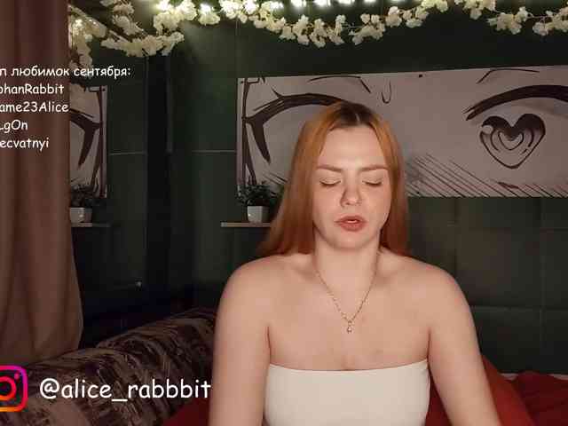 AliceRabbit AliceRabbit