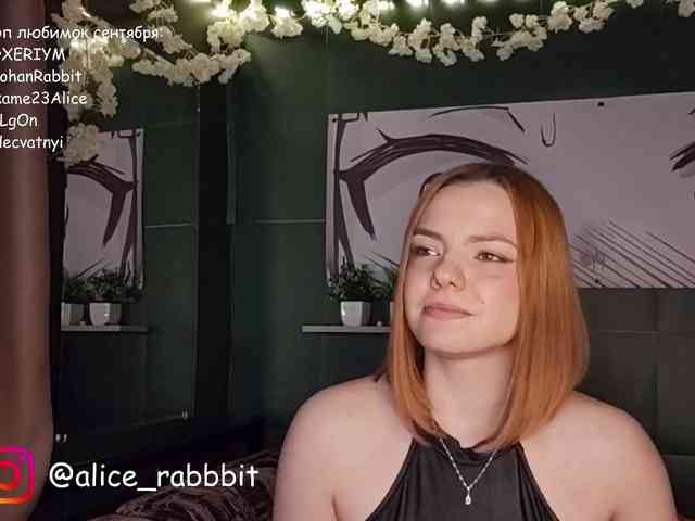 free online chat room AliceRabbit