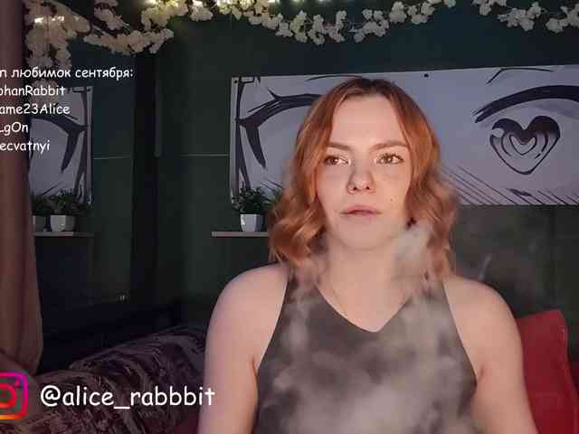 AliceRabbit webcam