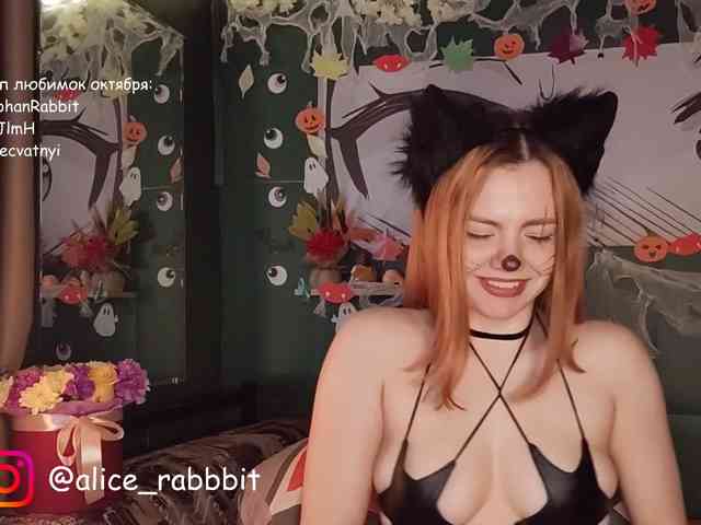 AliceRabbit
