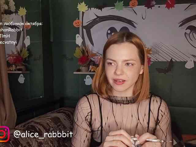 AliceRabbit webcam
