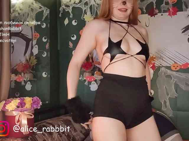 AliceRabbit
