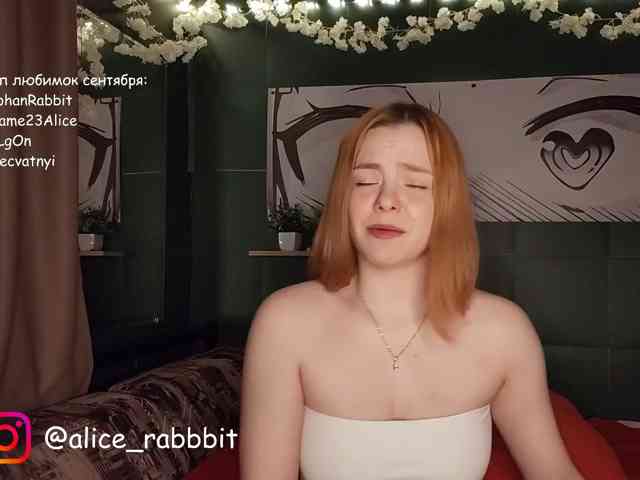 AliceRabbit webcam