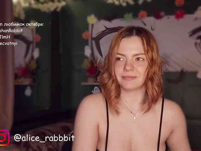 AliceRabbit webcam