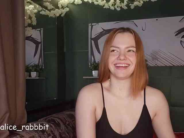 AliceRabbit webcam