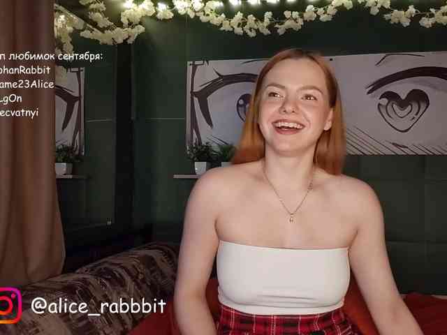 AliceRabbit webcam