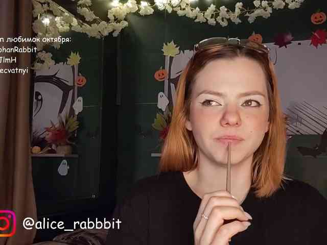 AliceRabbit webcam