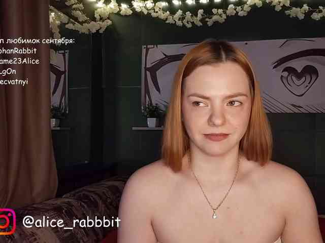 AliceRabbit AliceRabbit