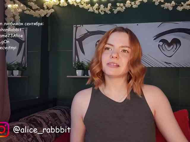 AliceRabbit webcam
