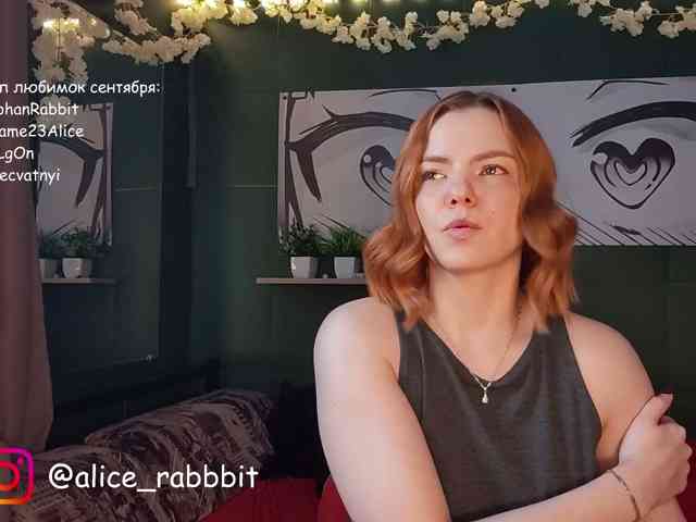 AliceRabbit