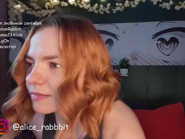 AliceRabbit
