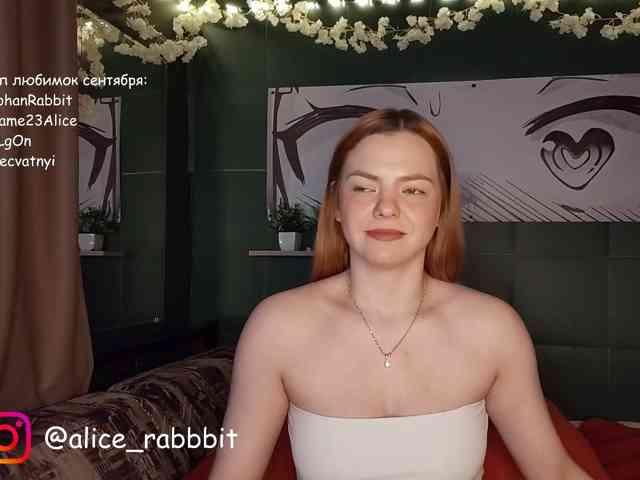 AliceRabbit