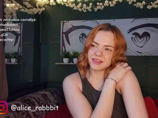 AliceRabbit webcam