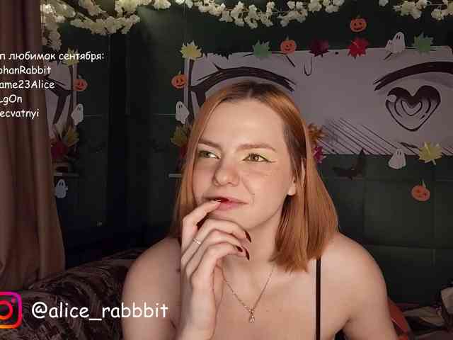 AliceRabbit AliceRabbit