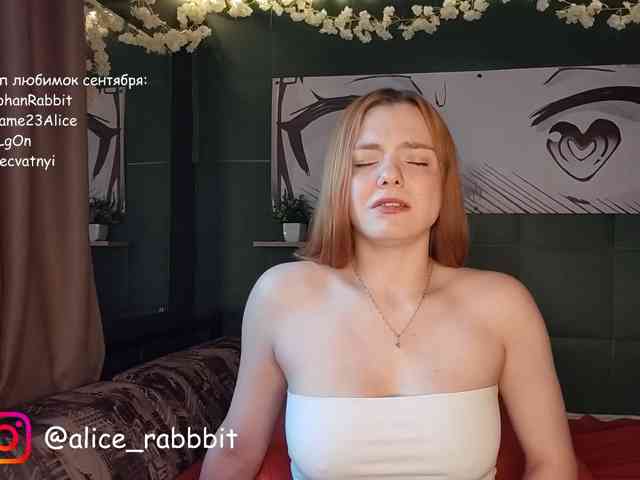 AliceRabbit